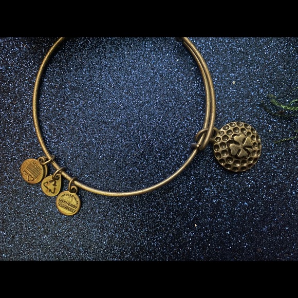 ALEX & ANI SILVER LUCKY IRISH CHARM Bracelet RARE - Picture 3 of 4